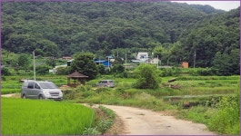 동행 출조 ( 가느실지) :: 토종붕어를 사랑하는 사람들