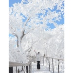 모나 용평:모나 사진포착