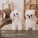 양모로 반려동물 인형을 만드는 포밍슈가 수호펫 공방