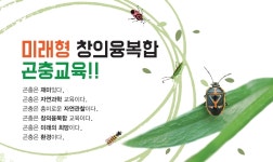 곤충생태교육연구소 한숲, 유아곤충지도사 17기 모집