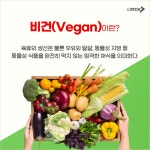 비건(Vegan) 제품, 생산, 판매하는 기업은 어디? | 캐치