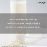 착한 기업, 매일유업 이야기 | 캐치