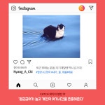 삼성바이오웰JR | 삼성바이오로직스 현직자가 말한다!! | 캐치