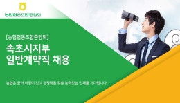 농업협동조합중앙회 채용 | 속초시지부 일반계약직 채용 (~06/06) | 캐치