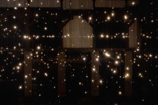 빛이 깨울 때, - 전시안내 < 서울식물원