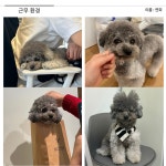 (주)컴퍼니온디맨즈 | [(주)바우로컴퍼니] [(주)바우로] 맨즈뷰티 : 화장품 브랜드 마케터 모집 - 사람인