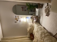 광덕배이올시다님의 취향 스크랩북 | 라이프스타일 슈퍼앱, 오늘의집