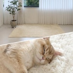 우아우이아님의 취향 스크랩북 | 라이프스타일 슈퍼앱, 오늘의집