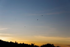 무료 이미지 : 저녁, 자연, 농장, 하늘, 산, 낮, 수평선, 아침, 새벽, 지구의 분위기, 구름, 잔광, 황혼, 해돋이, 일몰, 햇빛, 비행... 