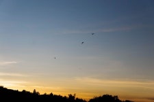 X-A3 - Free Images & Free stock photos - PxHere