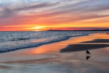 무료 이미지 : 일몰, 바다, 갈매기, 물, 바닷가, 수평선, 잔광, 황혼, 해돋이, 유동체, 구름, 육지, 주황색, 웨이브, 저녁, 연안 및 해양... 