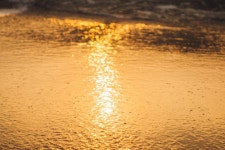 Free Images : sea, waves, soft, golden, abstract, background, bright, attractive, sky, sunlight, yellow, water, calm, sand... 