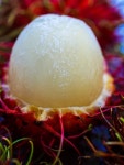 무료 이미지 : 아시아, 배경, 닫기, 닫다, 맛있는, 디저트, 식품, 신선한, 과일, 머리, 건강한, 외딴, 흥미 진진한, 시장, 자연, 영양물... 