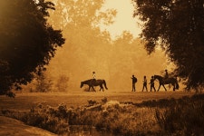 경치, 목장, 생태 지역, 잔디, 대초원, 저녁, 군중, 평원, 새벽, stock photography, 무스탕 말, 원정 여행, 스텝 1920x1281 - jin yun - 1449877... 