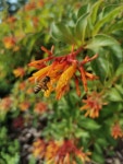 gamboa123 - 無料画像 & 無料写真- PxHere