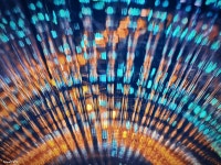 무료 이미지 : 밤, 빛, 광택, 추출, 빨간, 주황색, 푸른, 닫다, 프랙탈 아트, 유기체, 대칭, 컴퓨터 벽지, 매크로 사진, 공간... 