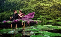 녹색, 식물원, 정원, 자연 경관, 식물학, 수생 식물, 수련, 봄, 여가, 농원, 못, 숲, 열대 우림, 경치, 관목, 관광 여행, 밀림... 