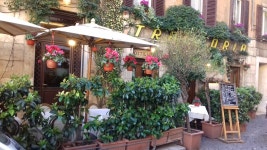 꽃잎, 거리, 시장, 시골집, 목초, 꽃 피는 식물, 안마당, 나무, 소매, 관광 여행, 뒤뜰, 휴가 3264x1836 - doarodi29 - 1646894 - 무료 이미지 - PxHere