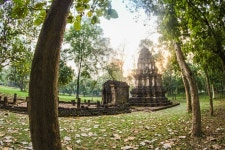 Free Images : tree, nature, forest, swamp, architecture, wood, trunk, stone, travel, wildlife, statue, jungle, sitting, buddhist... 