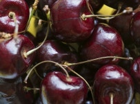 Free Images : cherries, fruit, cherry, food, produce, superfood, frutti di bosco, berry, prune 4608x2592 - granada1516 - 1445721... 