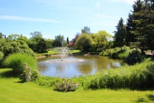 무료 이미지 : 경치, 나무, 식물, 하늘, 들, 목초지, 잎, 호수, 강, 보도, 휴양, 못, 저수지, 정원, 은행, 초목, 홍수터, 농원, 자연 보호... 