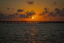 무료 이미지 : 갤버스턴, 일몰, 구름, 다리, 잔광, 황혼, 주황색, 아침에 붉은 하늘, 해돋이, 햇빛, 대기 현상, 천체, 수평선, 나무, 태양... 
