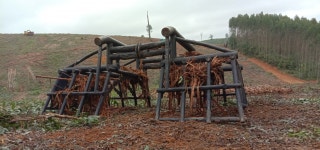 줄무늬가있는, 승선 한, 열, 수직선, 목수, 하늘, 구름, 잔디, 경치, 목초지, 금속, 흙, 목장, 농장, 숲, 자연 경관, 통나무 오두막집, 삼림지... 