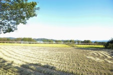 무료 이미지 : 들, 녹색, 항공 사진, 조감도, 자연 경관, 테라스, 경치, 잔디 가족, 농업, 논, 목초지, 나무, 농촌 지역, 식물, 평원... 