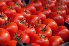 장소, 비타민, 스페인, 영양물 섭취, 맛좋은, 채식주의 자, 발렌시아... 정착, 청과물 상인 2638x1533 - - 740644 - 무료 이미지 - PxHere 무료 이미지... 