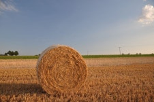 Hay bale Photos - Free Images & Free stock photos - PxHere