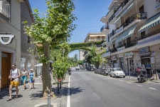 연안, 바다, 휴가, 다리, 하늘, 낮, 창문, 바퀴... 분양 아파트, 보행자, 주차, 도심, 근교, 봄... 소형차, 마을 광장, 가족 용 자동차, 큰 광장... 