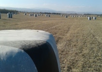 항공기 사진 - 무료 이미지 & 무료 이미지 - PxHere - 380