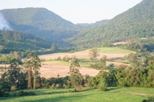 Vegetal Photos - Free Images & Free stock photos - PxHere