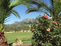 생체, 식물원, 마운트 풍경, 밀림, 잔디, 식물 공동체, 엘라 에이스, 열대, 농원, 관광 여행, 관목 3264x2448 - Mohamed HAKIM - 1429095 - 무료... 