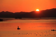 Free Images : sky, sunset, sunrise, evening, morning, dusk, afterglow, bird, sea, calm, silhouette, horizon, wildlife, sun... 