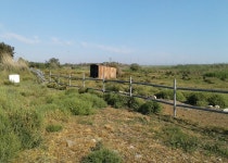 무료 이미지 : 축산, 식물학, 녹색, 초목, 하늘, 구름, 자연 경관... 마을, 농원, 야생 생물, 트럭, 야생화, 수송 7000x5000 - lazaros lazarou... 