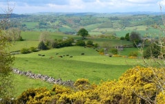 Free Images : country, natural landscape, highland, green, pasture, grassland, rural area, fell, grass, meadow, valley, tree... 