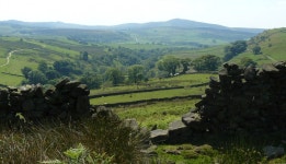 무료 이미지 : 골짜기, 한 지방, 영국, 고지, 산악 지형, 목초지, 자연 경관, 농촌 지역, 되다, 황야, 경치, 언덕 역, 목장, 평원, 농원... 