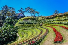 경관, 농원, 정원, 황야, 식물학, 언덕 역, 봄, 농촌 지역, 식물원, 농장, 수확고, 농업, 테라스, 휴가, 관광 명소, 목초지 3200x2133 - icon0com... 