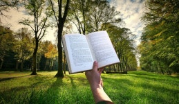 Free Images : book, hand, reading, read, sunset, garden, grass, education, freedom, story, knowledge, information, dictionary... 