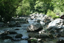 Free Images : body of water, water resources, watercourse, riparian zone, natural landscape, creek, mountain river, nature... 