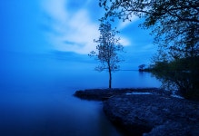 무료 이미지 : 나무, 이파리, 잎, 고독, 하늘, 구름, 경치, 푸른, 자연 경관, 반사, 대기 현상, 수자원, 아침, 고요한, 분위기, 바다... 