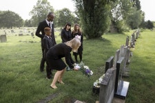 무료 이미지 : 장례식장, 내부, 기념물, 서비스, 존경, 의식, 홀... 나무, 동백 나무, 재스민 속 7990x5332 - kekage4242 - 1703192 - 무료 이미지... 