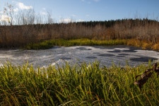 Free Images : meadow, river, natural landscape, natural environment, wetland, vegetation, water, fen, nature reserve, sky, bog... 