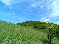 산, 농장, 숲, 기상 현상, 스텝, 관목, 마운트 풍경, 꽃, 적운 2560x1920... 산, 농장, 숲, 기상 현상, 스텝, 관목, 마운트 풍경, 꽃, 적운 2560x1920... 