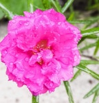 5026x3191 - - 370076 - 무료 이미지 - PxHere 무료 이미지 : 바닷가, 경치... 로열티없는, 대기 현상, 바람 파도 5026x3191 -  - 370076 - 무료 이미지 - PxHere