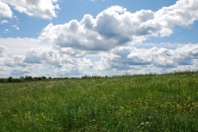 무료 이미지 : 들, 목초지, 하늘, 자연 경관, 구름, 자연 환 경, 목장, 대초원, 적운, 녹색, 초목, 낮, 평원, 스텝, 땅의 제비, 생태 지역... 