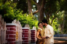 Free Images : photography, photographer, streets, photograph, car, vehicle, interaction, event, fun, ceremony, recreation, tree... 
