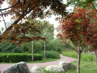 무료 이미지 : 나무, 잎, 우디 식물, 자연 경관, 식물학, 가을, 경치, 잔디, 낙엽, 단풍, 정원, 삼림지, 조경, 주립 공원, 집, 식물원... 