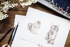 무료 이미지 : 홀딱 반할 만한, 동물, 미술, 예술가, 선명한, 닫다, 색깔, 화려한, 착색, 귀엽다, 디자인, 그림, 평평한 평지... 